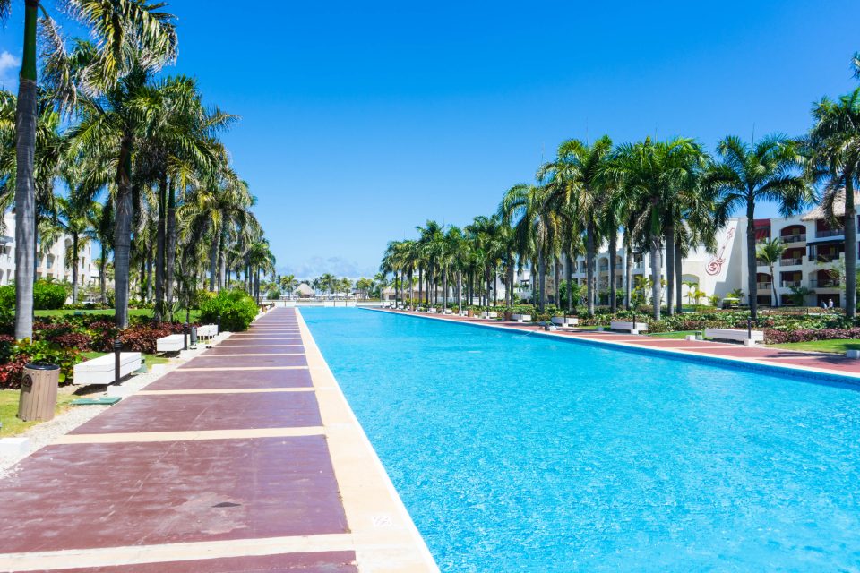 Terraza y piscina del hotel entre palmeras